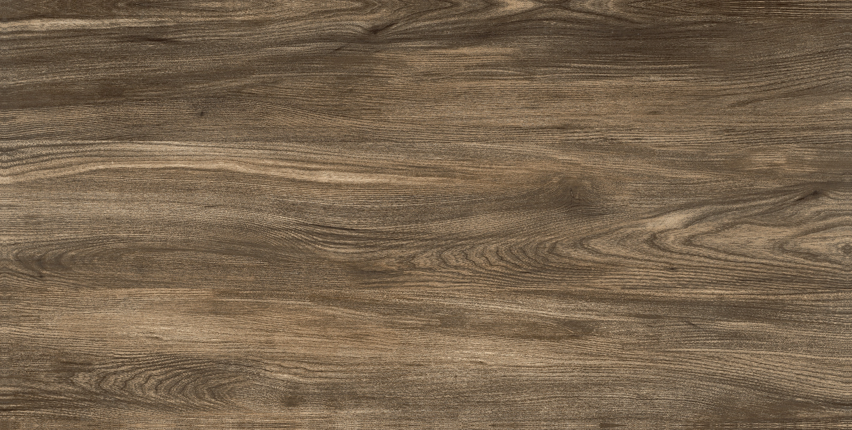 Matte tiles SANDWOOD, 60x120 cm, TS
